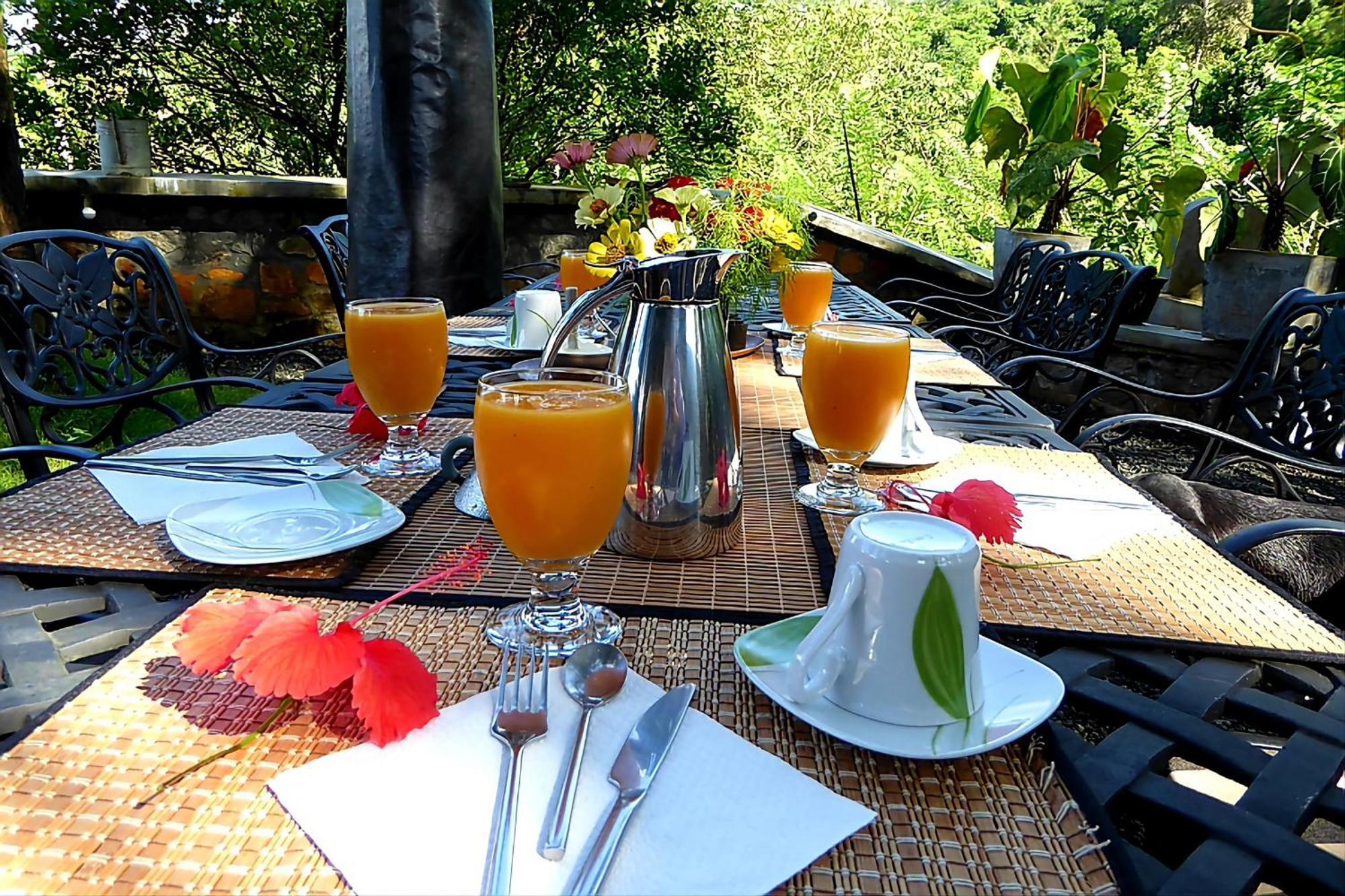 Singharaja Garden Agro Eco Lodge Pelawatta  Exterior photo