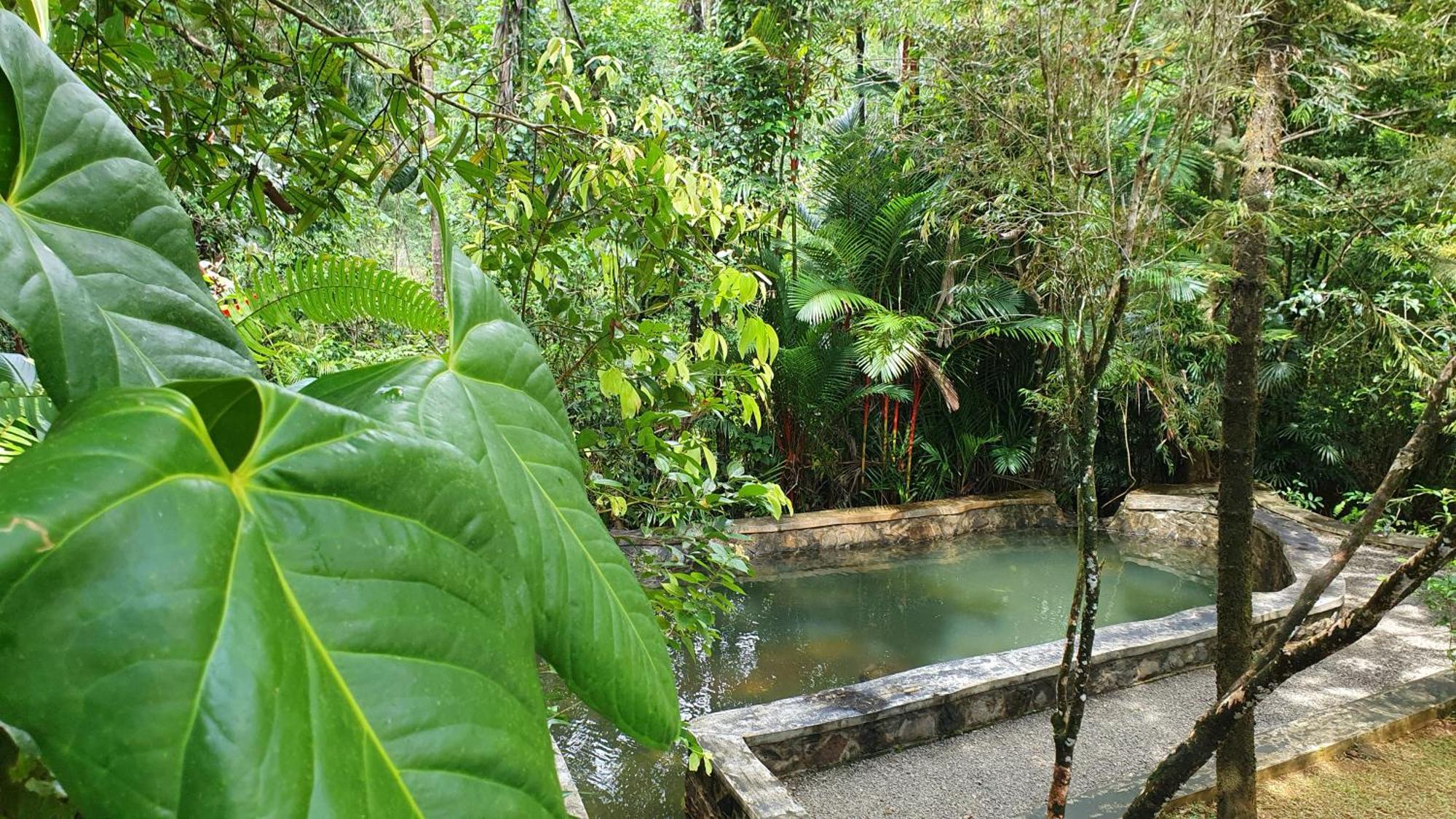 Singharaja Garden Agro Eco Lodge Pelawatta  Room photo